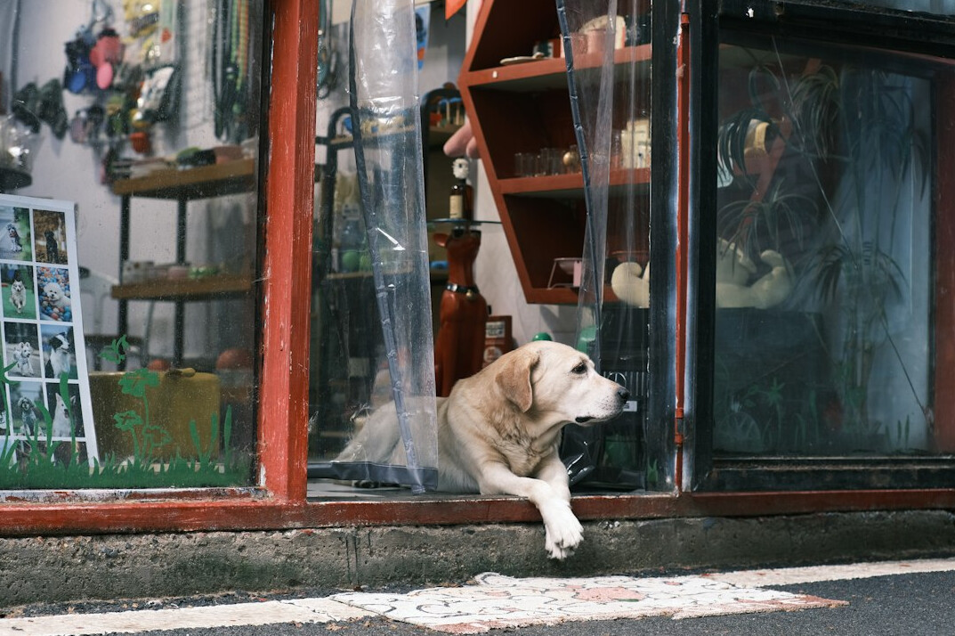 store detective watching customer